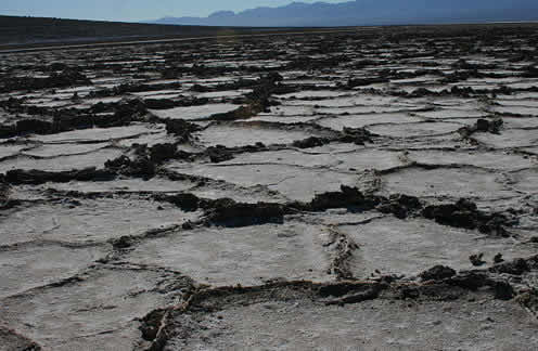 Soils and sediments