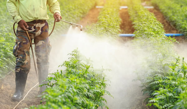 GLIFOSATO: El Gobierno de España se plantea su prohibición